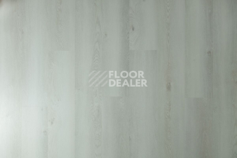 Tarkett Funky House JACK фото 6 | FLOORDEALER